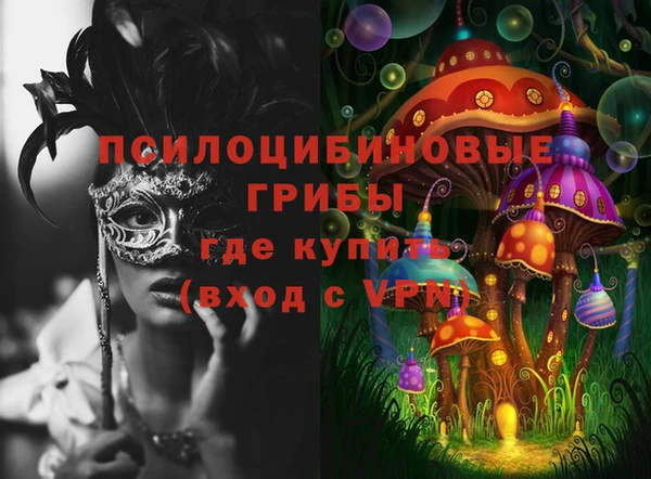 PSILOCYBIN Белоозёрский