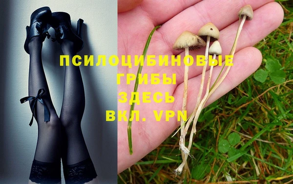 PSILOCYBIN Белоозёрский